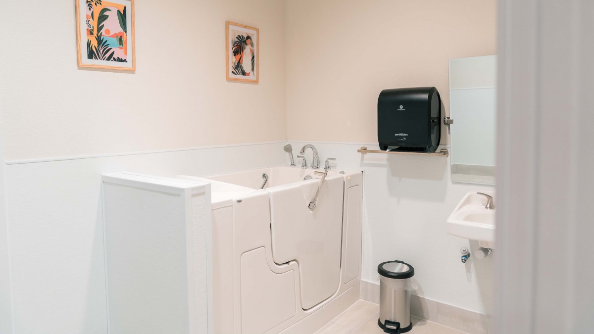 An accessible bathroom featuring a walk-in bathtub with a secure door and modern amenities.