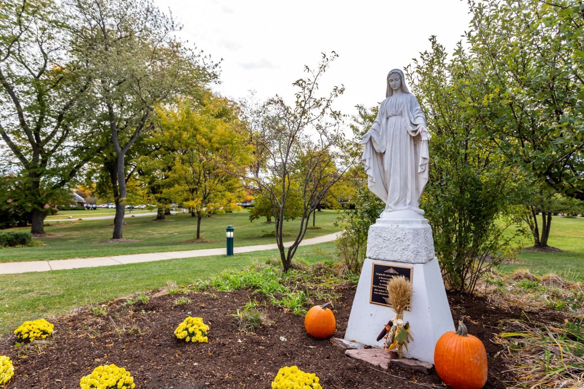 A statue surrounded by autumn flowers and pumpkins in a park setting.