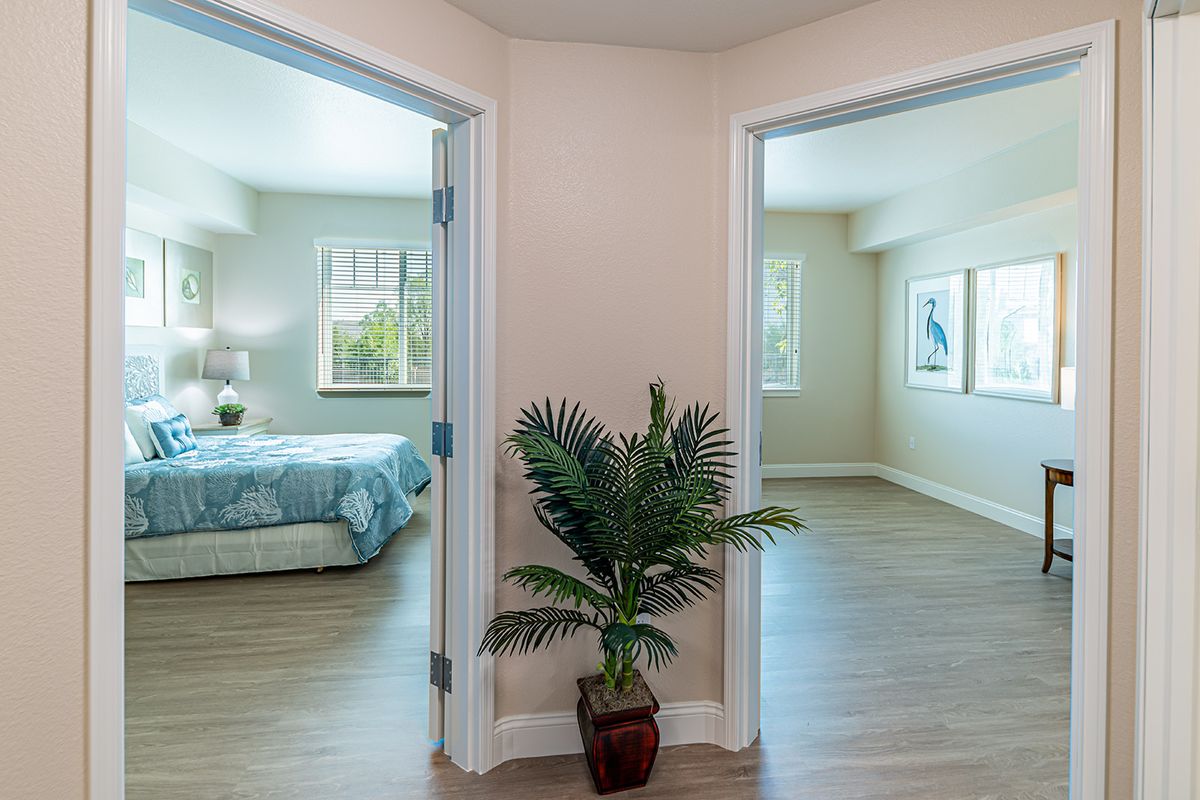 A hallway with doors leading to a furnished bedroom and an empty room, featuring wooden floors and a potted plant.