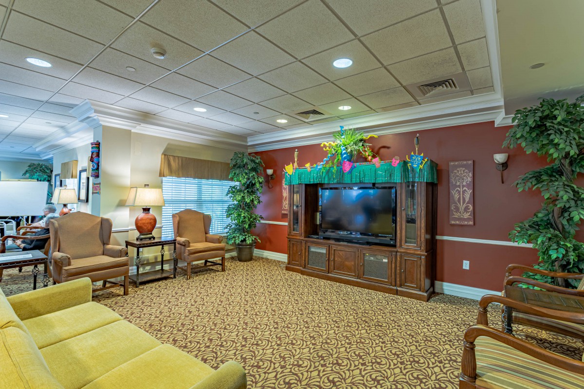 A cozy living room featuring a large television, comfortable seating, and decorative indoor plants.
