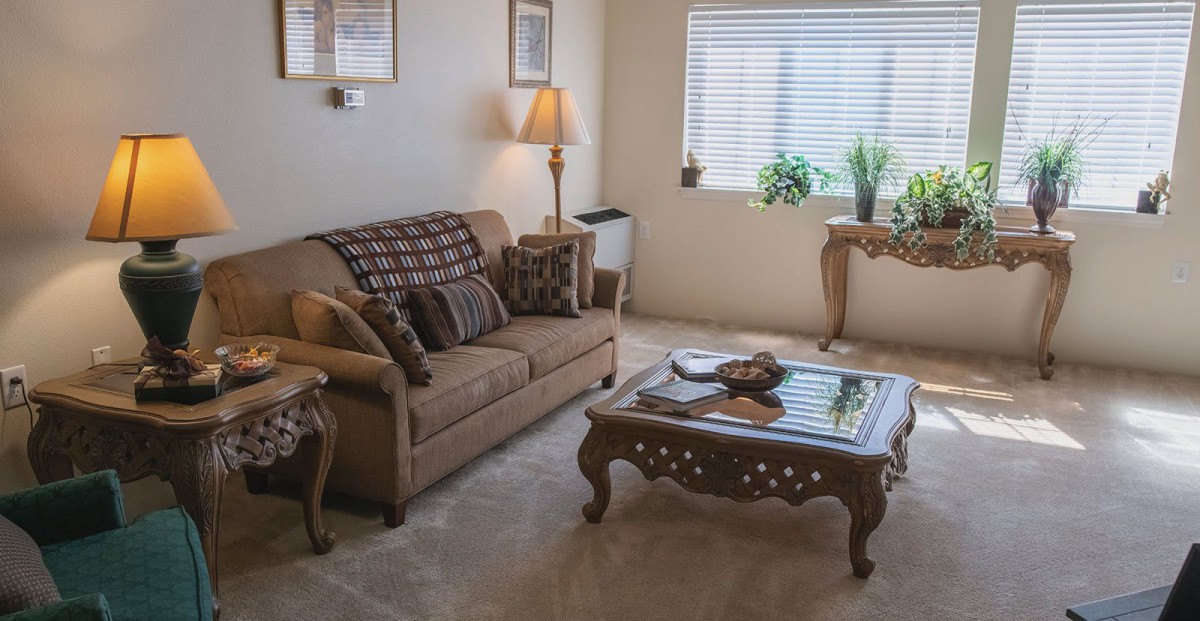 A cozy living room with a sofa, coffee table, and indoor plants near the window.