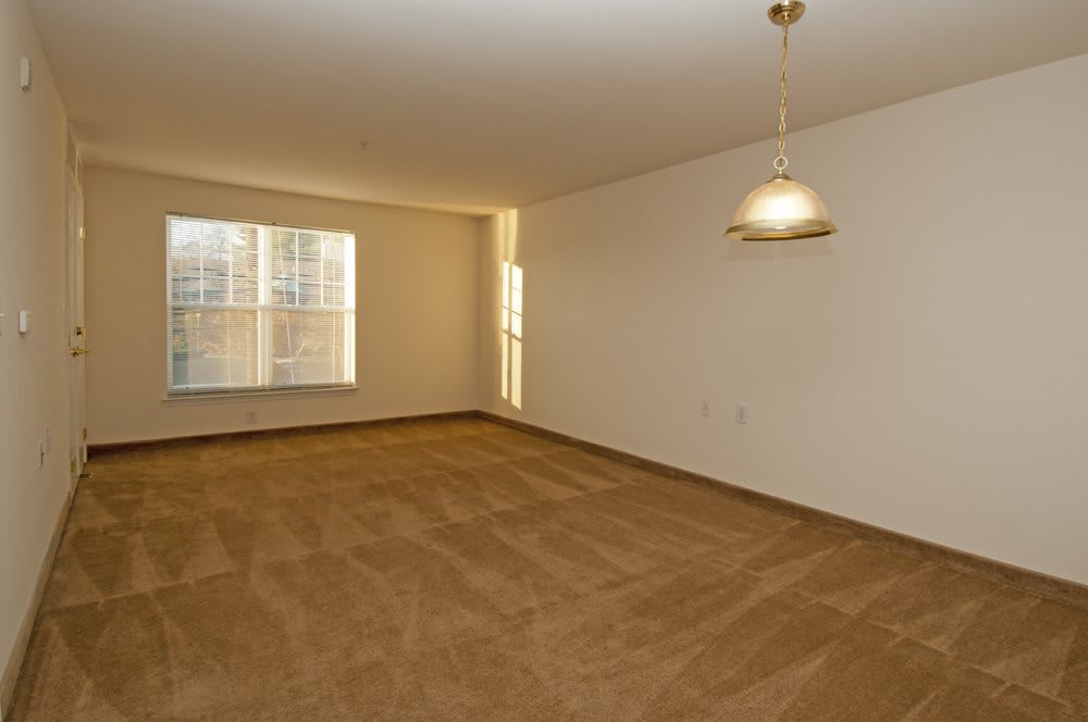 An empty room with carpeted flooring and a ceiling light, featuring large windows that let in natural light.