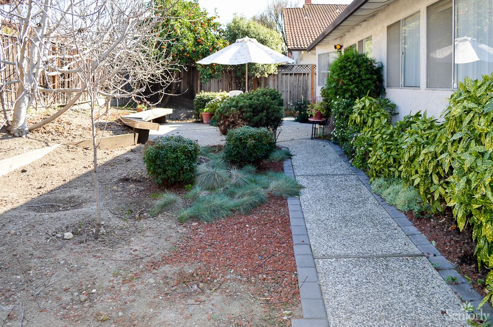 A landscaped backyard with a pathway, bushes, and a patio umbrella.