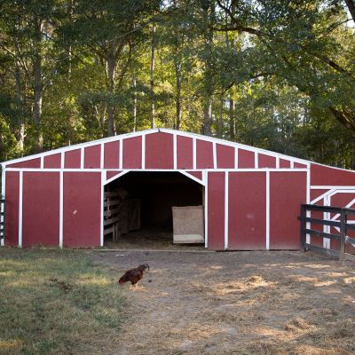 A picturesque red barn set against a backdrop of trees.