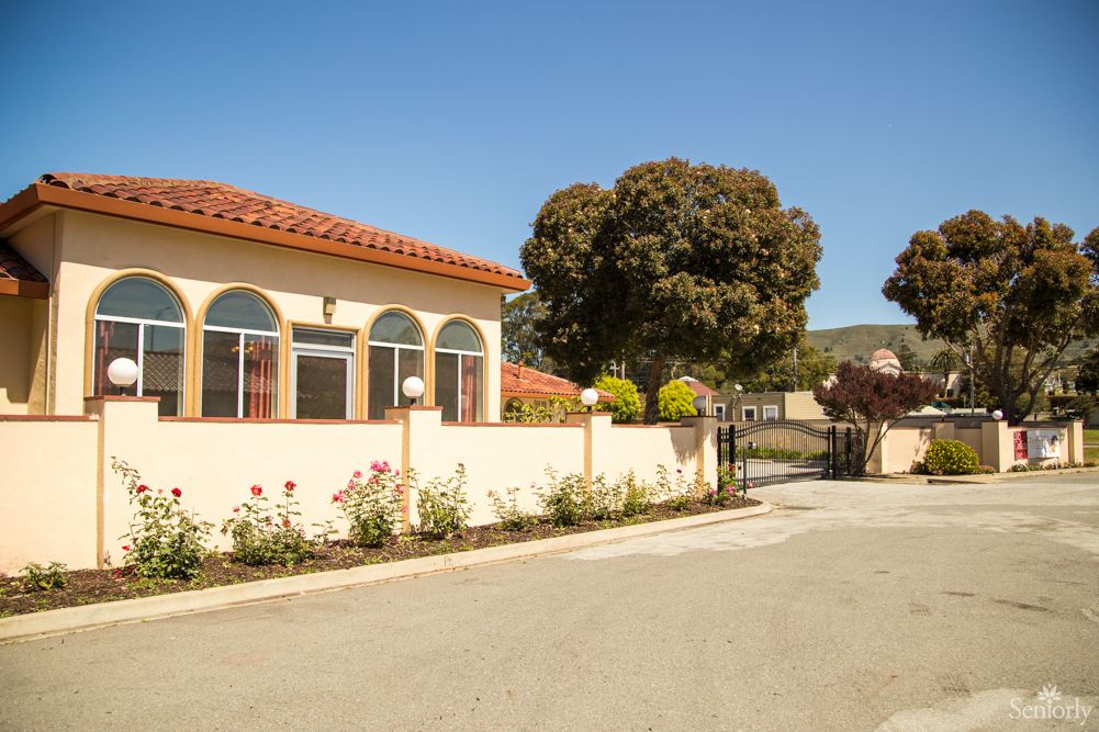 A suburban house with a garden and trees on a sunny day.