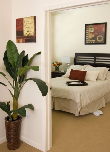 A cozy bedroom with a neatly made bed, decorative pillows, and a potted plant.