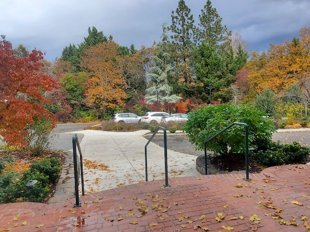 A scenic view of a pathway surrounded by colorful autumn foliage and trees under a cloudy sky.