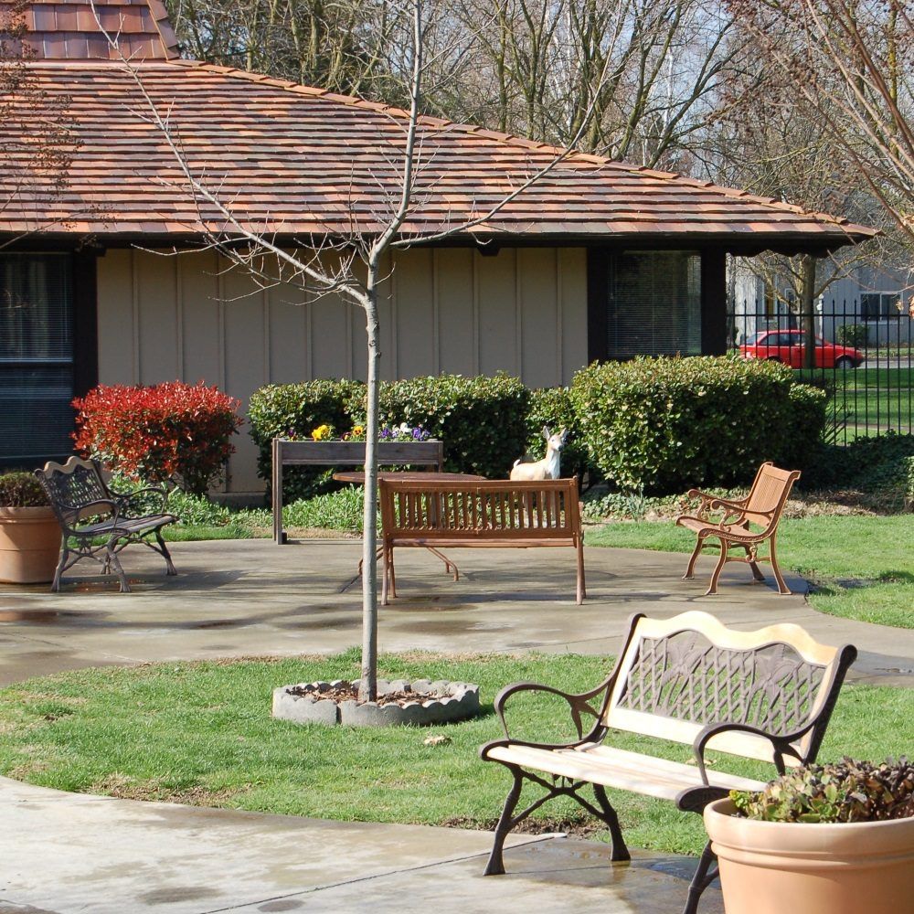 A tranquil garden area with benches and potted plants.