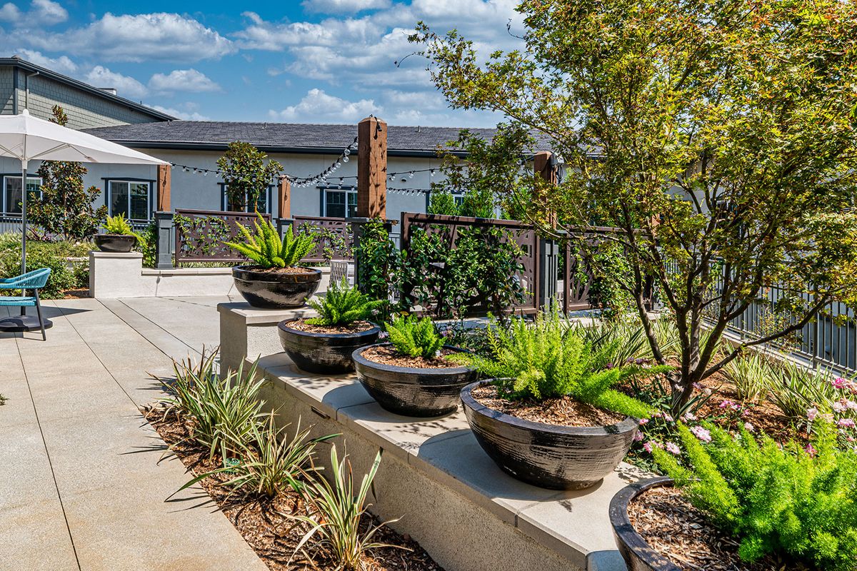 A beautifully landscaped garden with potted plants and modern architecture.
