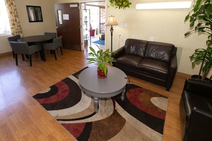 A cozy living room with a brown sofa, round coffee table, decorative rug, and indoor plant.