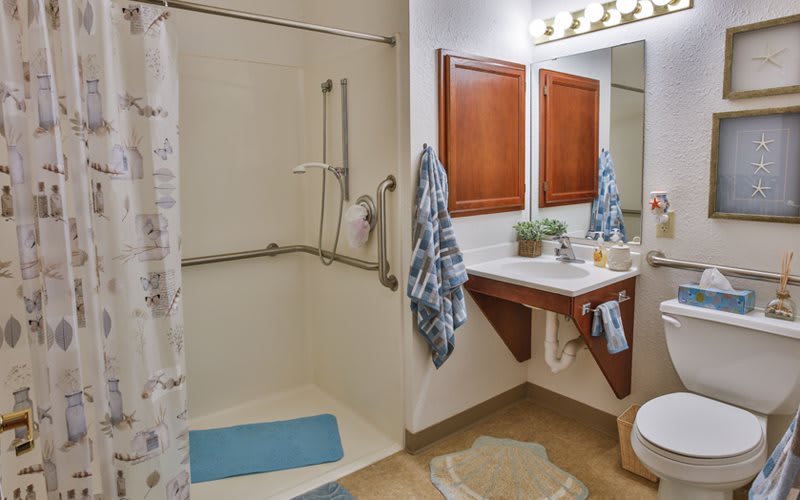 Accessible bathroom with a walk-in shower and vanity area.
