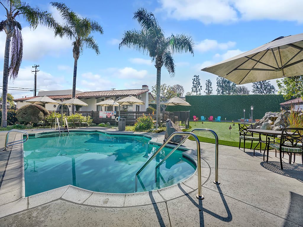 A tranquil swimming pool area with palm trees and loungers, perfect for a sunny day relaxation.