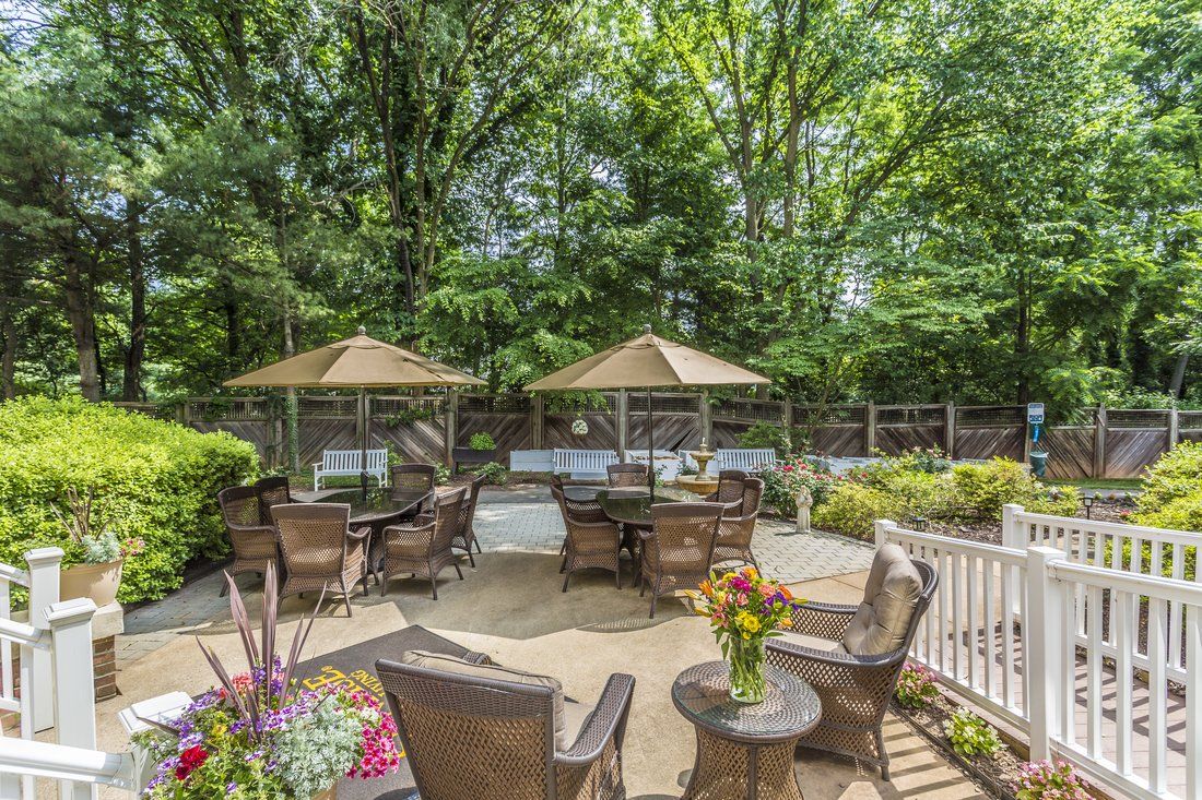 A tranquil outdoor patio area with tables, chairs, and umbrellas surrounded by lush trees.