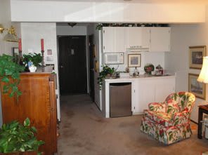 A compact living area with a kitchenette, featuring floral-patterned furniture and decorative plants.