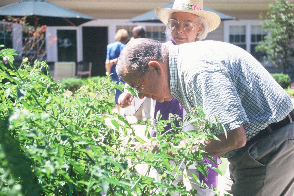 Two individuals engaged in gardening activities outside on a sunny day.
