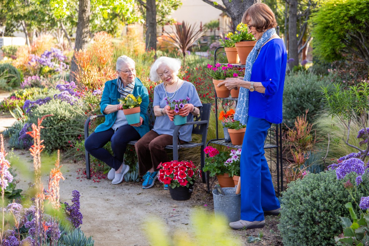 Seniors enjoying gardening together in a vibrant outdoor setting.