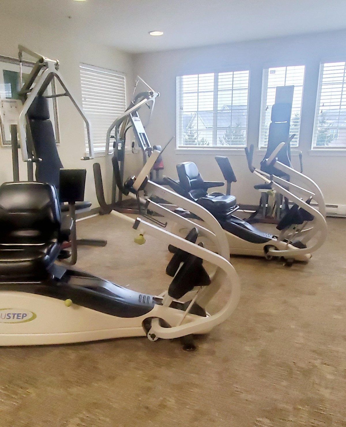 A well-equipped gym with various exercise machines in a bright, spacious room.