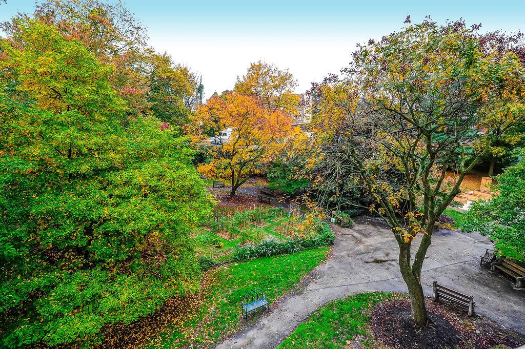 A tranquil park scene in autumn, featuring colorful foliage and winding pathways.