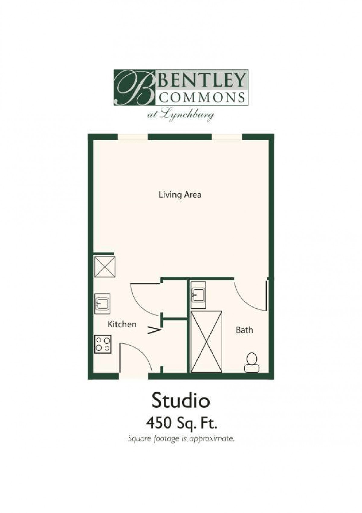 Studio apartment floor plan with a total area of 450 square feet featuring a living area, kitchen, and bathroom.