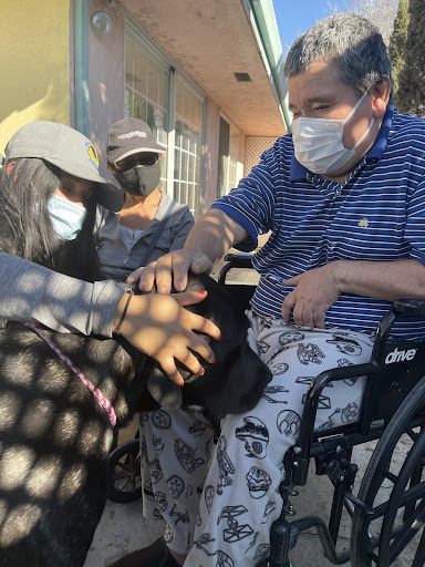 A heartwarming moment as caregivers and a senior pet a dog together outside.