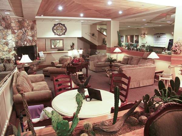 A cozy living room featuring comfortable sofas, chairs, a round table, decorative lamps, and indoor plants.