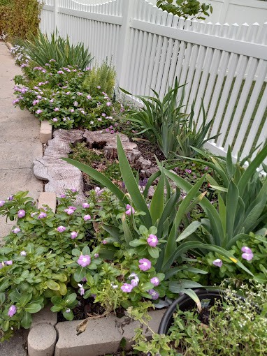 A neatly landscaped garden with a variety of plants and flowers alongside a fence.