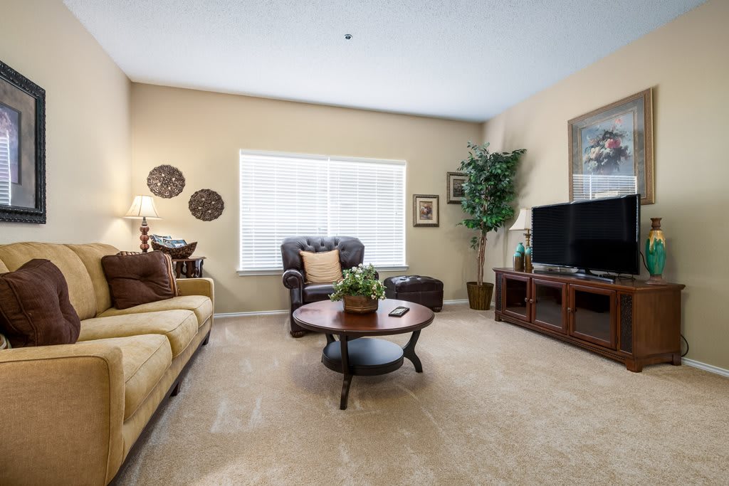 A cozy living room featuring a sofa, coffee table, television, and decorative elements with natural lighting.