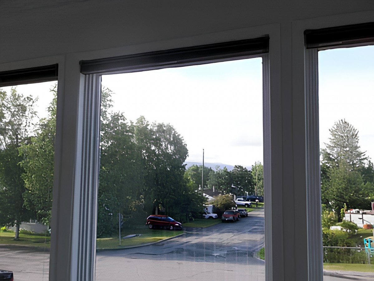 View through a window overlooking a road with trees and parked cars.