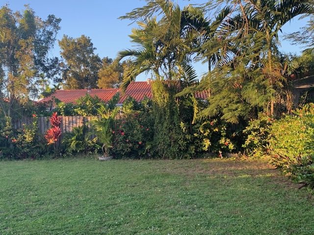 A lush garden with various trees and plants, basking in the warm sunlight near a house.