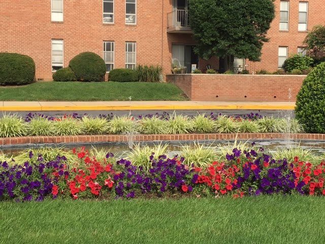 Brooklawn Apartments