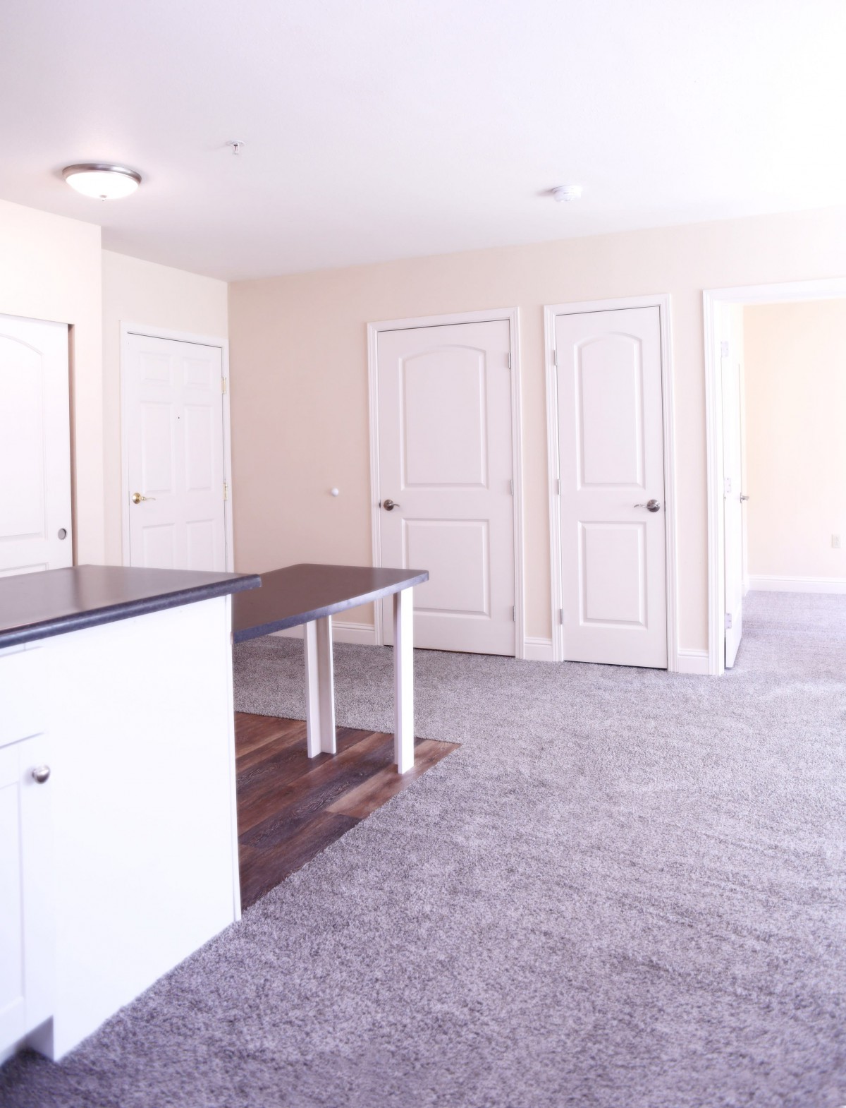 A minimalist apartment interior featuring carpeted floors and multiple doors.