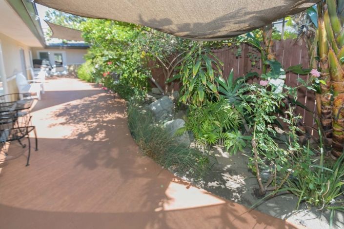 A shaded garden path surrounded by lush greenery.