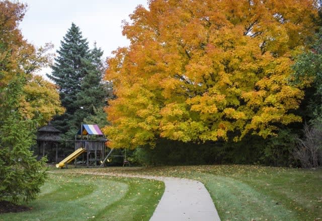 A playground surrounded by vibrant autumn trees with a winding pathway.