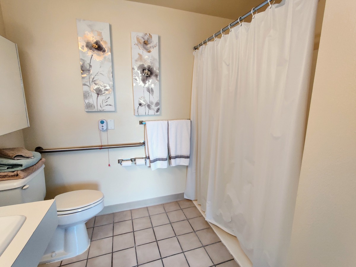 A clean and tidy bathroom with a shower curtain, toilet, and decorative wall art.