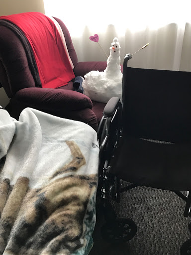 A goose sitting comfortably in a chair beside a wheelchair, with a cozy blanket draped nearby.