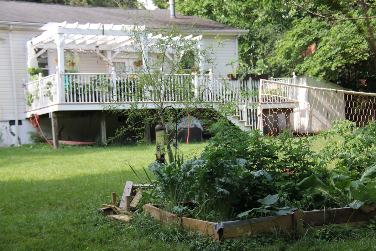 Rose Garden Residence