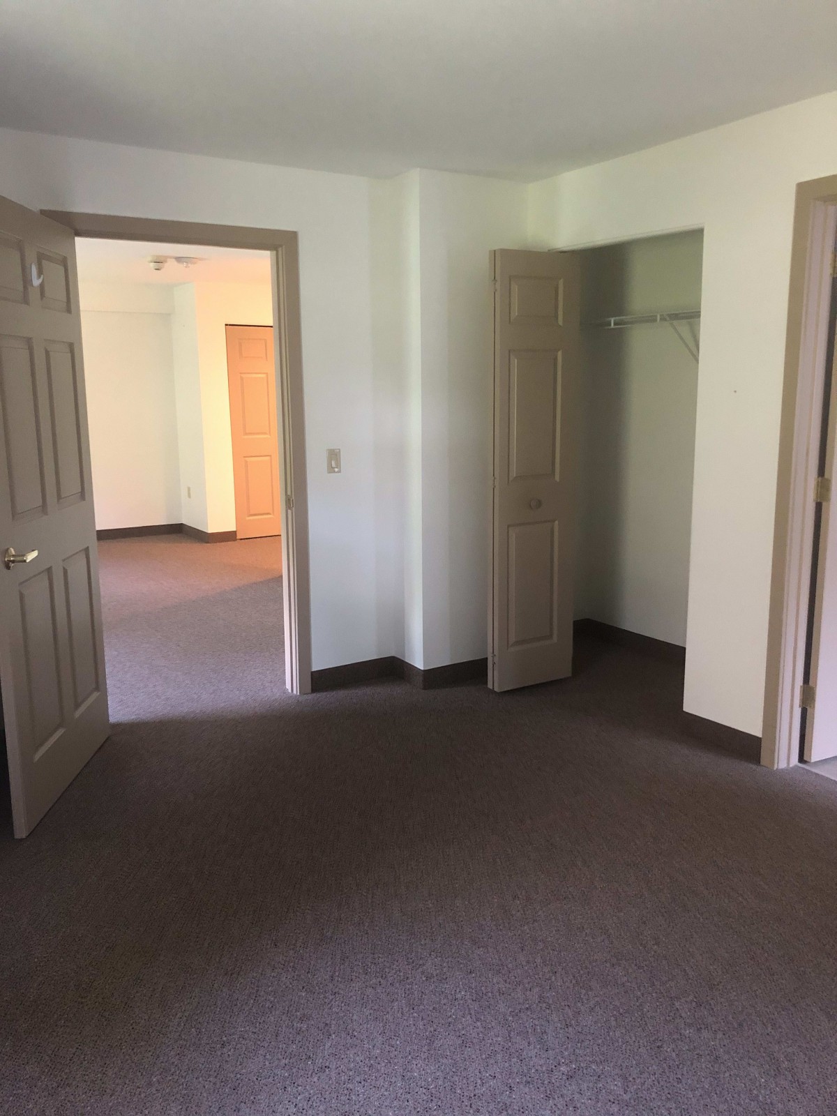 A view of an empty apartment interior featuring carpeted floors, multiple doors, and a closet.