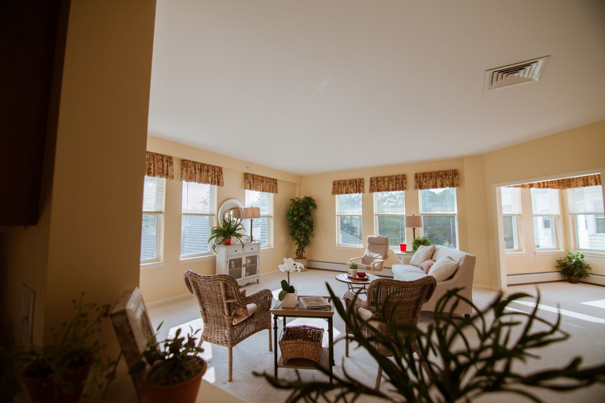 A cozy and bright living room filled with natural light, featuring comfortable furniture and lush plants.