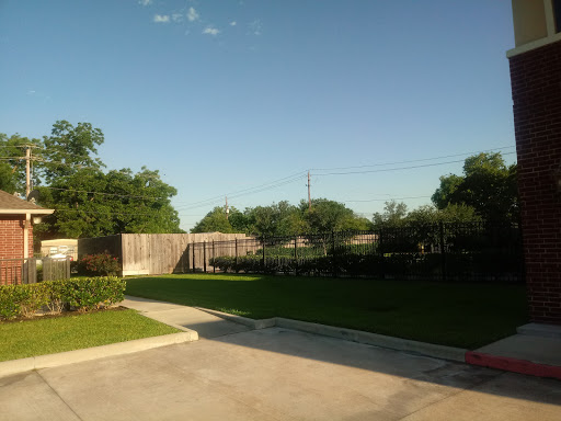 A peaceful outdoor scene featuring trees and a clear blue sky.