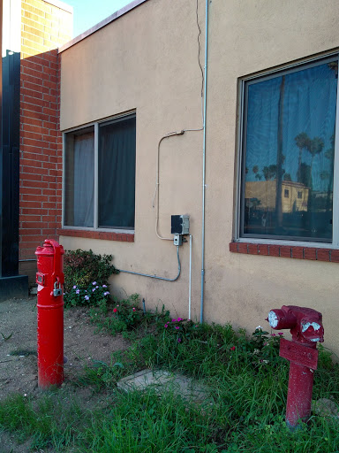 An exterior view of a building featuring fire hydrants and adjacent windows.