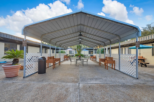 A spacious outdoor pavilion with seating and a clear blue sky.