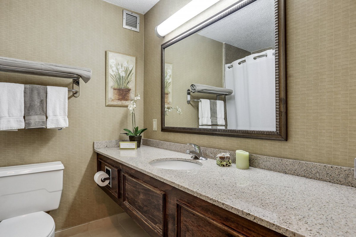 A modern bathroom with a large mirror, granite countertop, and decorative plants.