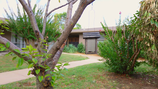 A charming view of a house surrounded by greenery, featuring a winding pathway and mature trees.