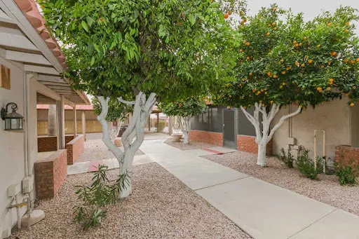 A serene pathway lined with lush trees, leading through a well-maintained residential garden.