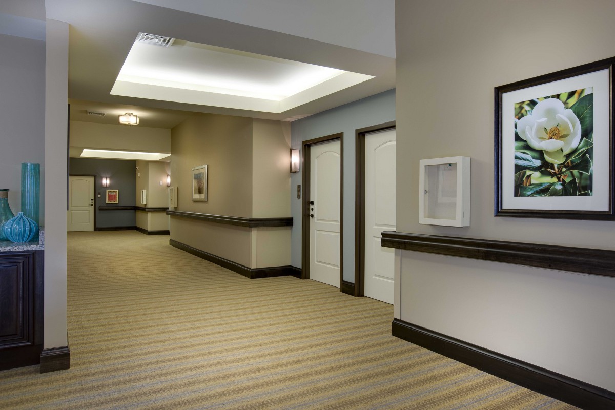 A modern hotel hallway with doors, carpeted flooring, and stylish lighting.