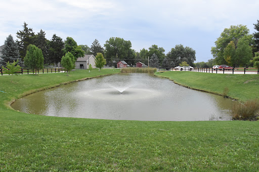 A serene pond with a fountain surrounded by lush green grass in a tranquil park setting.