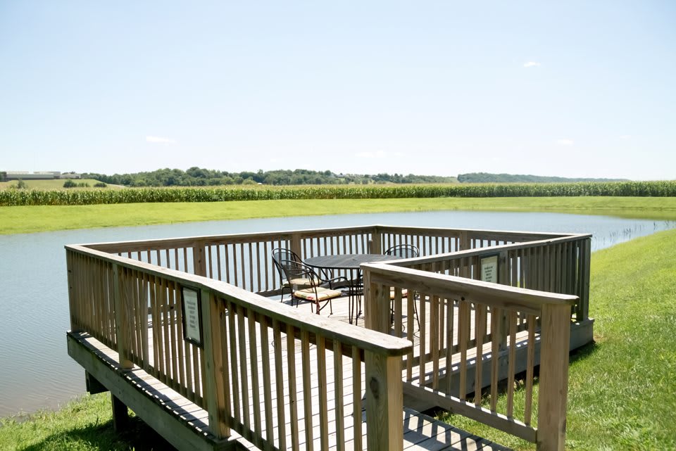 A serene wooden dock overlooking a calm lake with lush greenery in the background.