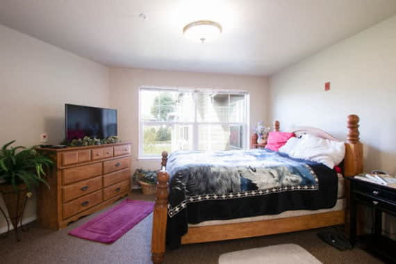 A cozy bedroom with a wooden bed, dresser, and a TV near a large window.