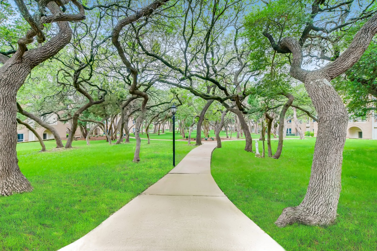 Holiday Renaissance Austin