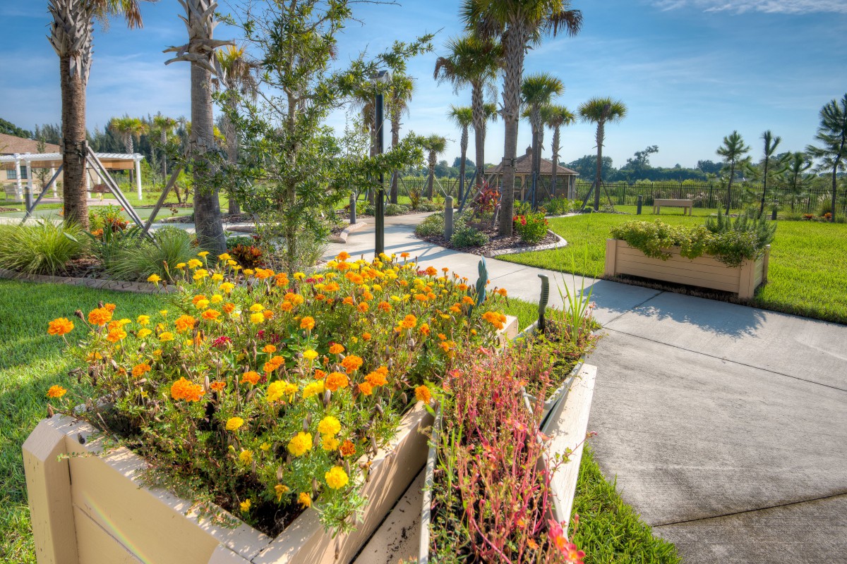 A vibrant garden with colorful flowers and a scenic walkway under clear blue skies.
